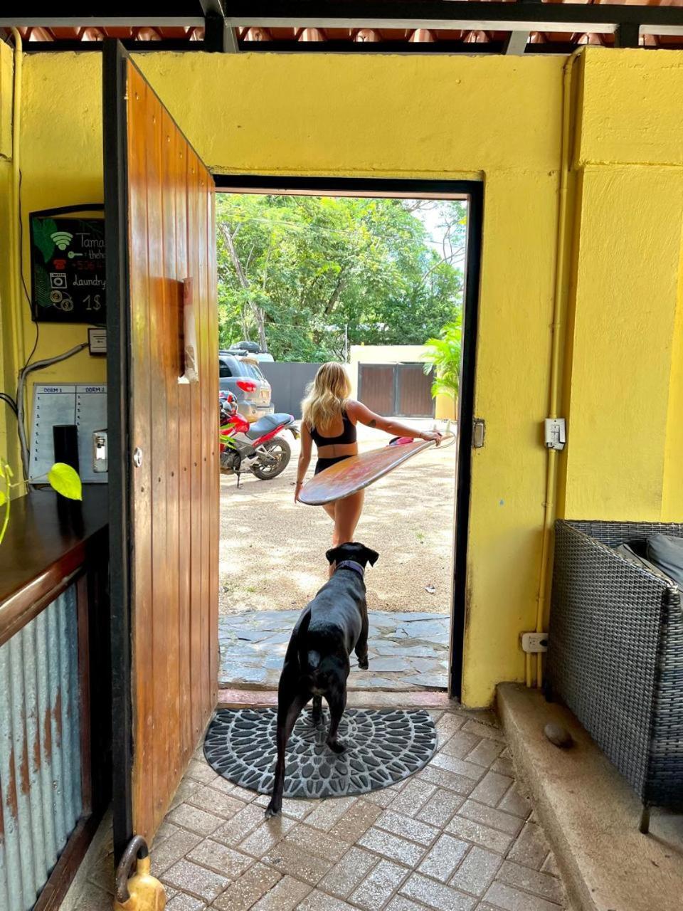 Hostel Tamarindo Backpackers Exteriér fotografie